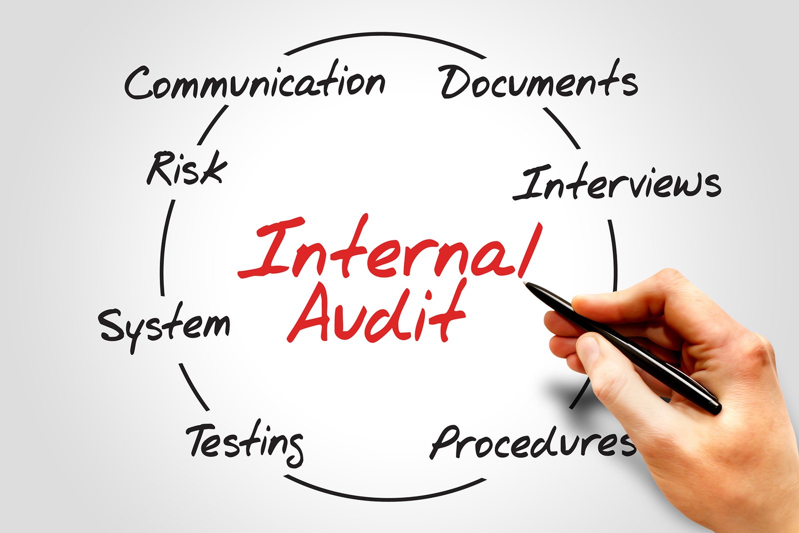 List And Explain Five Responsibilities Of Internal Auditors In Financial Risk Management