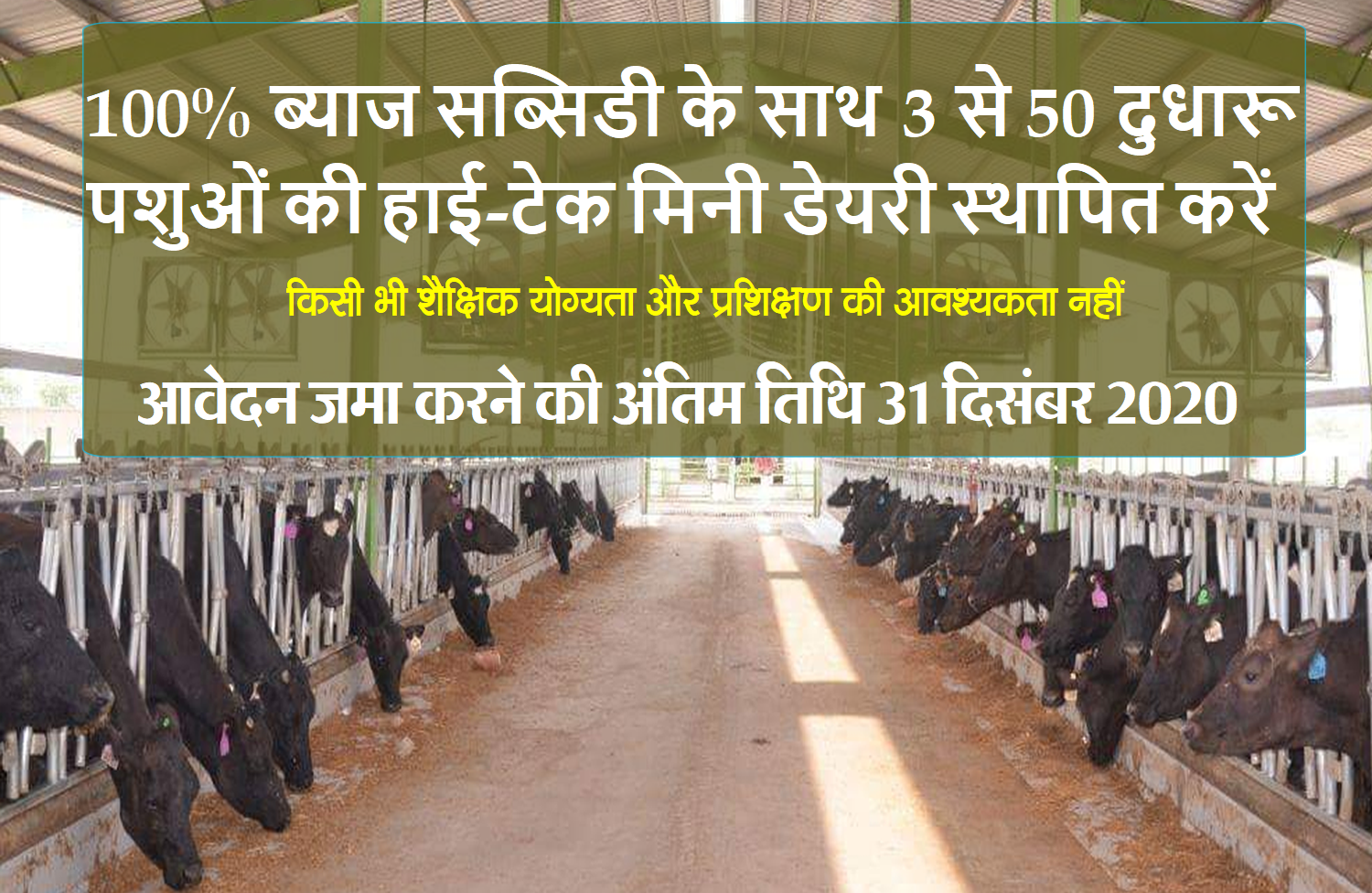 Set up High Tech Dairy Unit With 100% Interest Subsidy - KIP Financial Consultancy Pvt Ltd Set up High Tech Dairy Unit With 100% Interest Subsidy - KIP Financial Consultancy Pvt Ltd