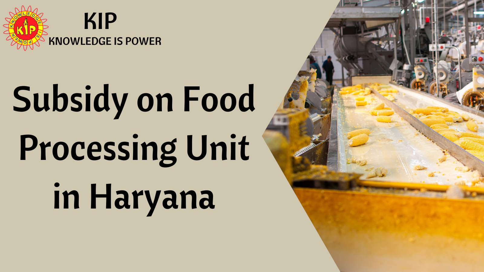 Subsidy on Food Processing Unit in Haryana KIP Financial Consultancy