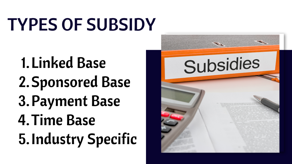 Business Subsidy Planning