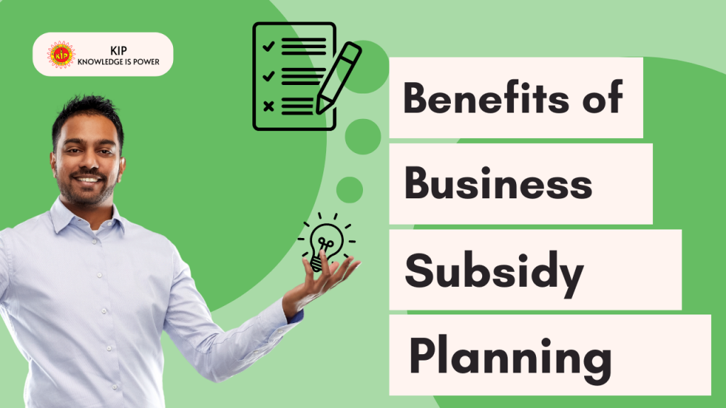 Business Subsidy Planning