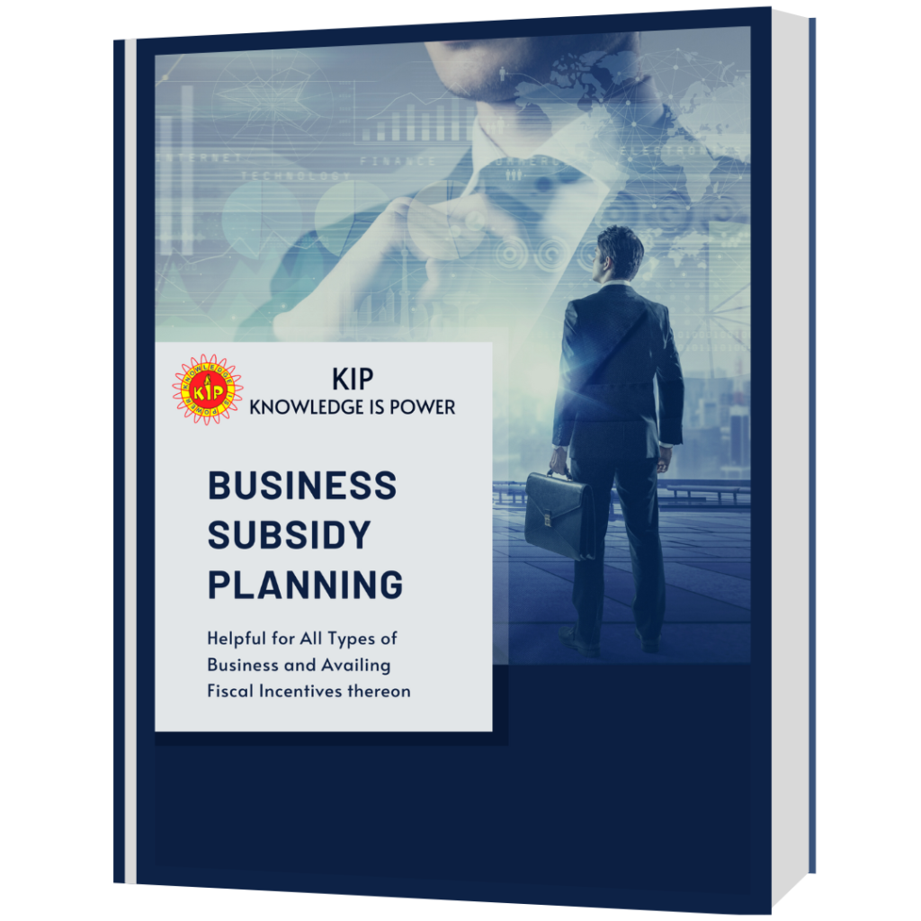 Business Subsidy Planning eBook