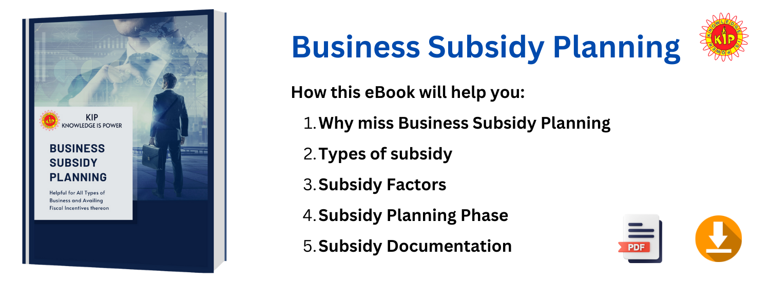 Business Subsidy Planning