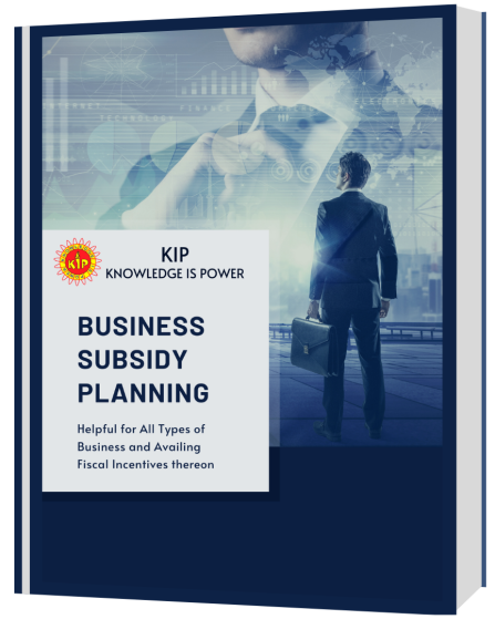 Business Subsidy Planning eBook